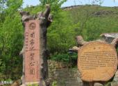 北京白河峡谷旅游攻略 之 硅化木地质公园