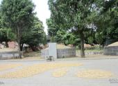 永州月岩—周敦颐故里风景区旅游攻略 之 墓碑