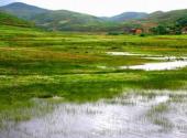 云南大山包黑颈鹤国家级自然保护区旅游攻略 之 湿地