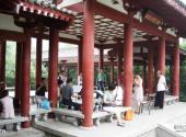 西安丰庆公园旅游攻略 之 艺廊