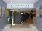上海海洋水族馆旅游攻略 之 长江流域珍稀水生物展