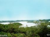 绵阳仙海旅游景区旅游攻略 之 天龙山生态公园