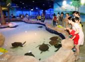 杭州烂苹果乐园旅游攻略 之 海龟之家