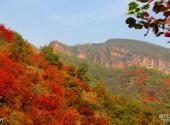 禹州大鸿寨景区旅游攻略 之 红叶