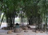 南宁狮山公园旅游攻略 之 竹文化景区