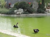 西安寒窑遗址公园旅游攻略 之 饮马池