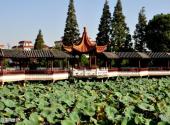 嘉兴莲泗荡风景区旅游攻略 之 莲泗荡风景区