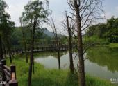 广州大夫山森林公园旅游攻略 之 人工湖