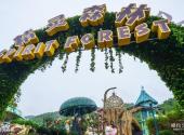 中国安吉Hellokitty主题公园旅游攻略 之 精灵森林