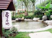 重庆颐尚温泉度假村旅游攻略 之 草本池