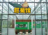 深圳光明农场大观园旅游区旅游攻略 之 蔬园巨星馆