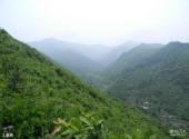 海城九龙川自然保护区旅游攻略 之 森林