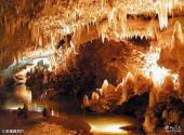 巴巴多斯岛旅游攻略 之 哈里森洞穴