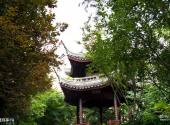 常州东坡公园旅游攻略 之 望月亭