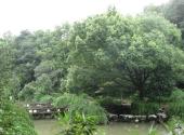 江山须江公园旅游攻略 之 瑶池