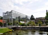 荷兰莱顿市旅游攻略 之 植物园