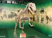 珠海市博物馆旅游攻略 之 恐龙时代展