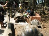 坦桑尼亚桑给巴尔石头城旅游攻略 之 乌龟岛