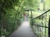 宜兴陶祖圣境风景区旅游攻略 之 铁索桥