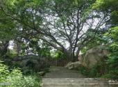 福建宿燕寺旅游攻略 之 上山台阶