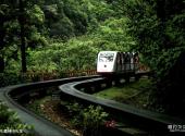 上海共青森林公园旅游攻略 之 森林小火车