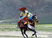 西藏羌塘草原旅游攻略 之 恰青赛马会