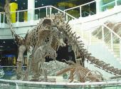深圳仙湖植物园旅游攻略 之 古生物博物馆