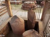 印度瓦拉纳西市旅游攻略 之 阿育王石柱