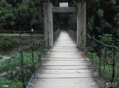 重庆万盛黑山谷旅游攻略 之 吊桥