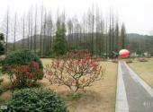 杭州植物园旅游攻略 之 桃花园