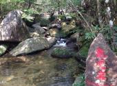 武夷山龙川大峡谷旅游攻略 之 龟鹰岩