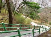 陕西木王国家森林公园旅游攻略 之 台阶
