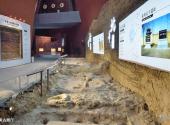 临沂皇山东夷文化园旅游攻略 之 考古展厅