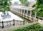 中国科学院武汉植物园旅游攻略 之 沉水植物区