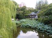 上海曲水园旅游攻略 之 荷花池