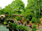 重庆南山植物园旅游攻略 之 盆景园