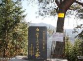 福建北上抗日宣言发布地石峰纪念馆旅游攻略 之 红军无名烈士冢墓碑