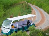 张掖国家湿地公园旅游攻略 之 观光车