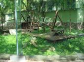 上海动物园旅游攻略 之 熊猫岭