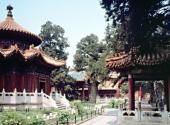 北京故宫旅游攻略 之 御花园