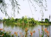广州海珠湿地公园旅游攻略 之 海珠湖
