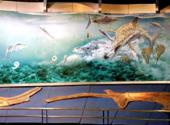 自贡恐龙博物馆旅游攻略 之 恐龙时代的动植物