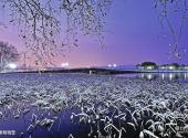 杭州西湖风景名胜区旅游攻略 之 断桥残雪