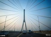 上海杨浦大桥旅游攻略 之 主桥桥面