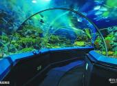 上海海洋水族馆旅游攻略 之 海底隧道