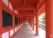 日本奈良春日大社旅游攻略 之 西回廊