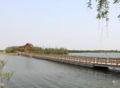 河北衡水湖国家级自然保护区旅游攻略 之 湖泊
