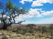 坦桑尼亚塞伦盖蒂国家公园旅游攻略 之 纳比山