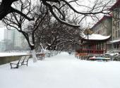 哈尔滨工程大学校园风光 之 冬日雪景