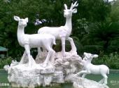 温州中山公园旅游攻略 之 白鹿雕像